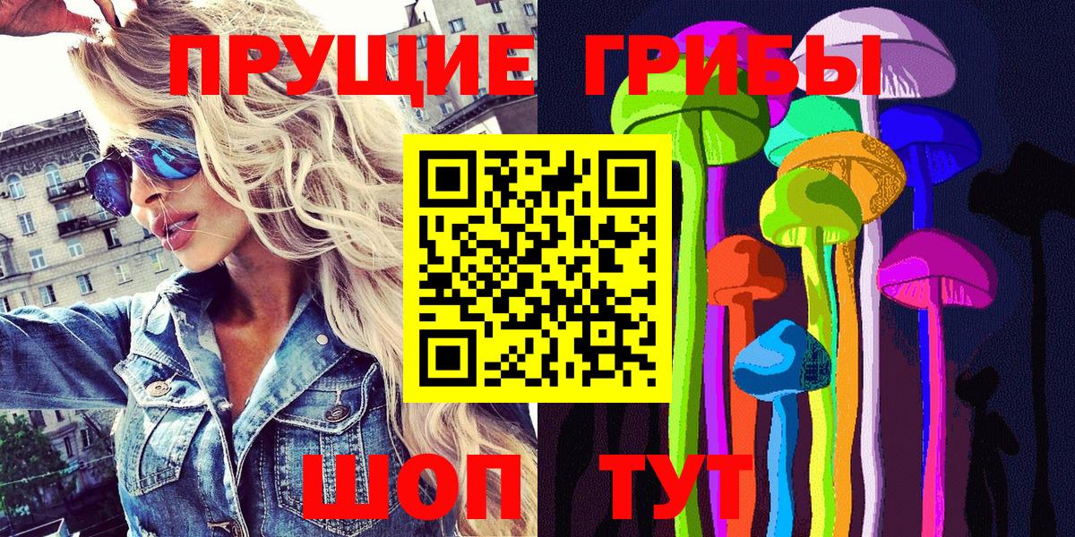 Черняховск  Галлюциногенные грибы прущие грибы  Псилоцибиновые грибы Psilocybe  Вход с VPN 